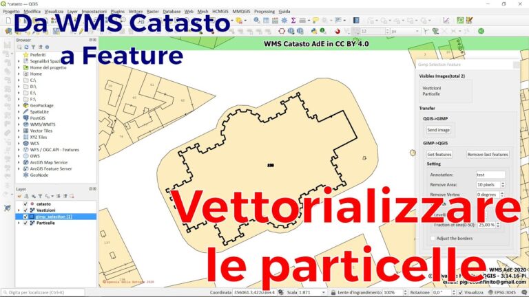 Estensione Particella Catastale: Ottimizzazione e Concisione
