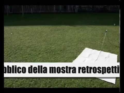 Il Codice: L’Arte della Protesta