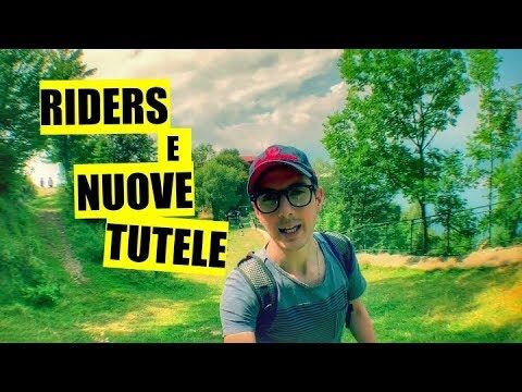 Regolamentazione del Lavoro a Domicilio: Ottimizzazione e Concisione